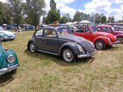 Cox  d'Or Days - Longvay 2016 (52)